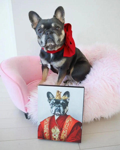 10 Creative Ideas to Celebrate National Pet Month in Style