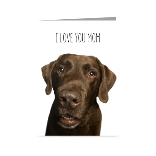 Greetings Card 5 X 7 Vertical FRONT Blank Mock Up