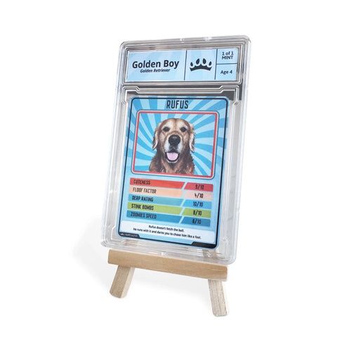 Top Trump - Easel Stand + Card copy