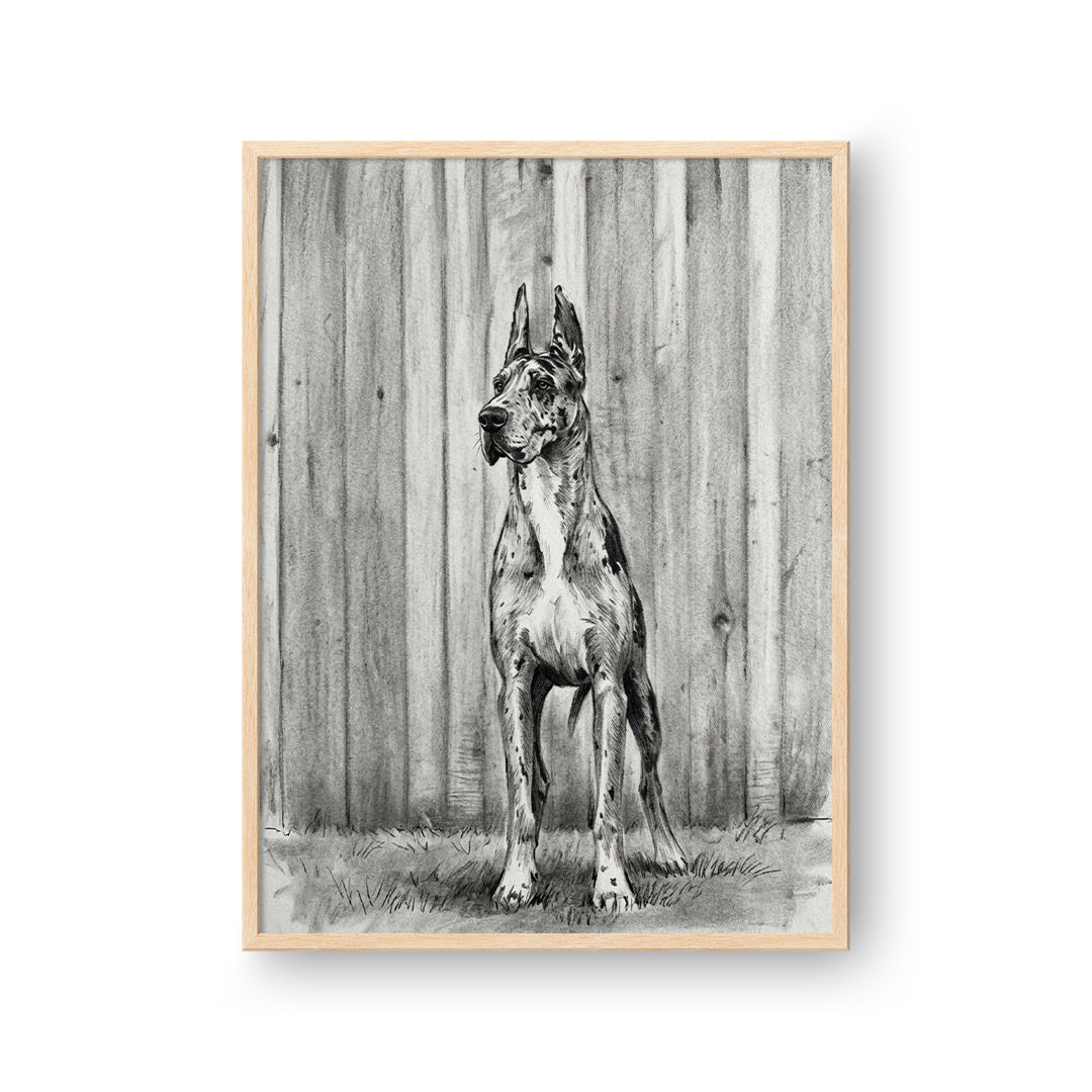Charcoal Pet Portrait