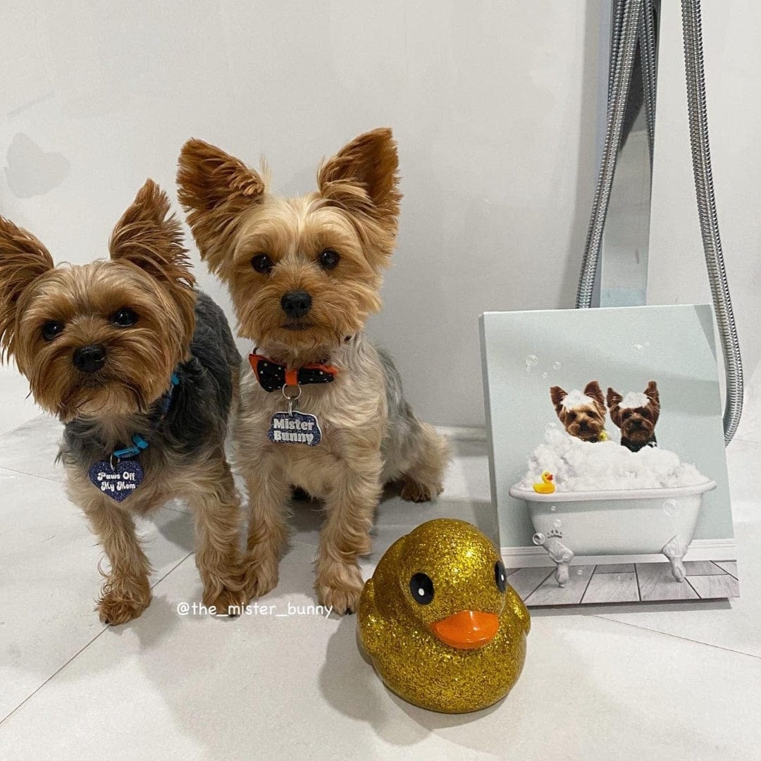 Crown and Paw - Canvas Bath Tub Pet Portrait (Two Pets) - Custom Pet Art
