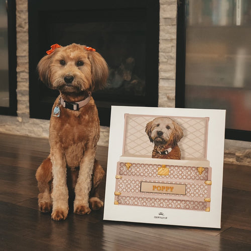 Classic Luxury Trunk Pet Portrait