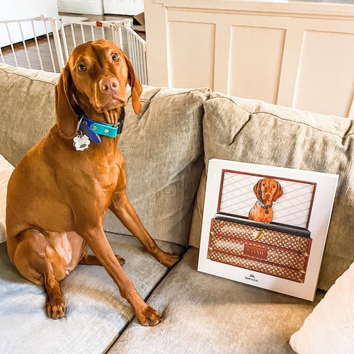 Classic Luxury Trunk Pet Portrait