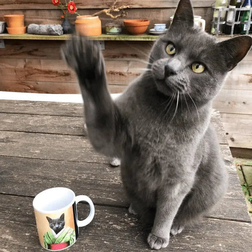 Crown and Paw - Mug The Geisha - Custom Mug 11oz