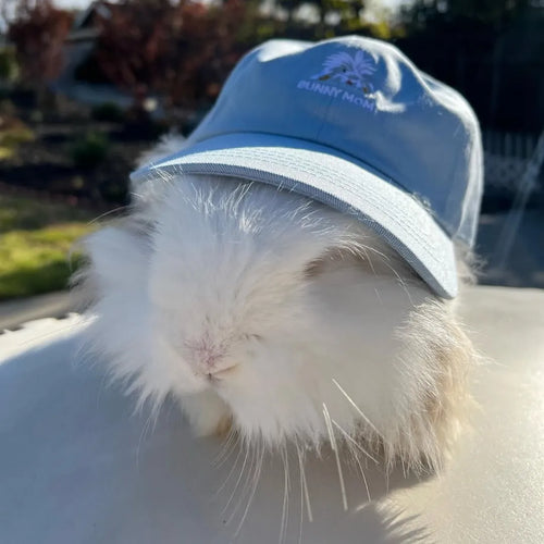 Custom Pet Face Classic Dad Cap