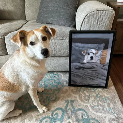 Custom Sleeping Pet Portrait - Framed Poster
