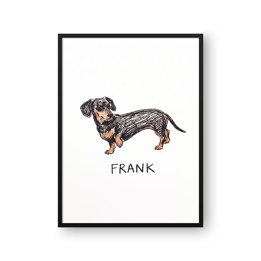 Crayon Doodle Pet Portrait