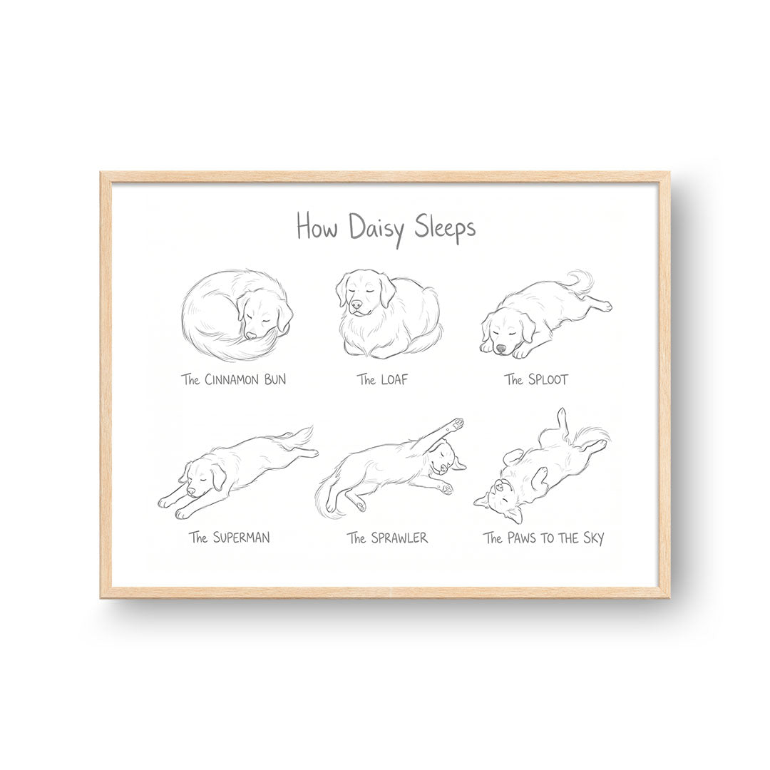 Sleeping Poses Portrait