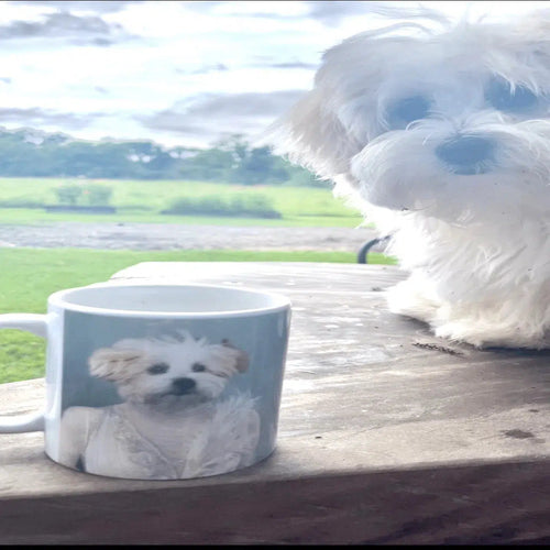 Crown and Paw - Mug The Ballerina - Custom Mug 11oz