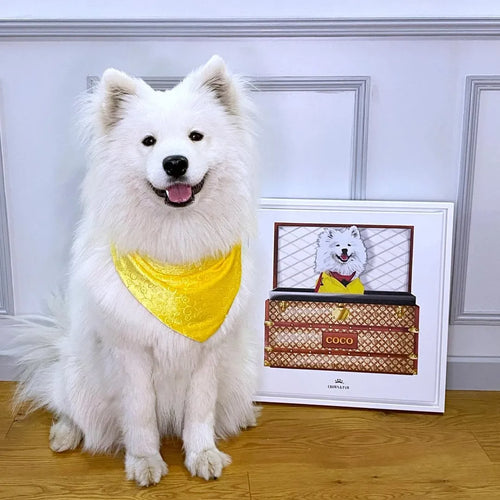 Super Red Luxury Trunk Pet Portrait
