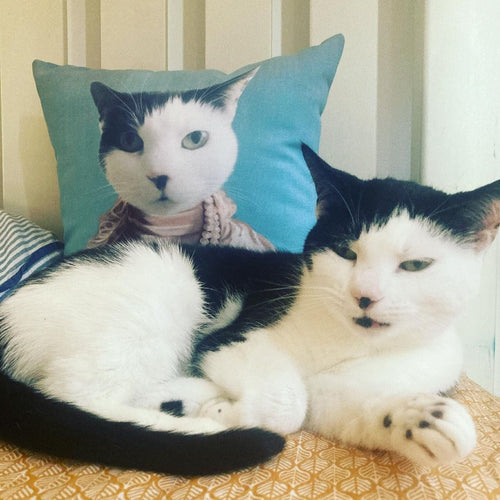 Crown and Paw - Throw Pillow The Queen Regent - Custom Throw Pillow