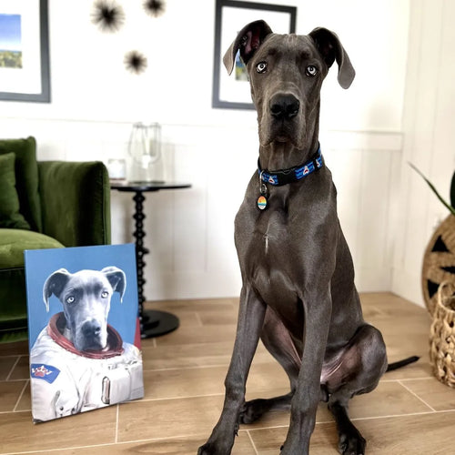 The Astronaut - Custom Pet Canvas