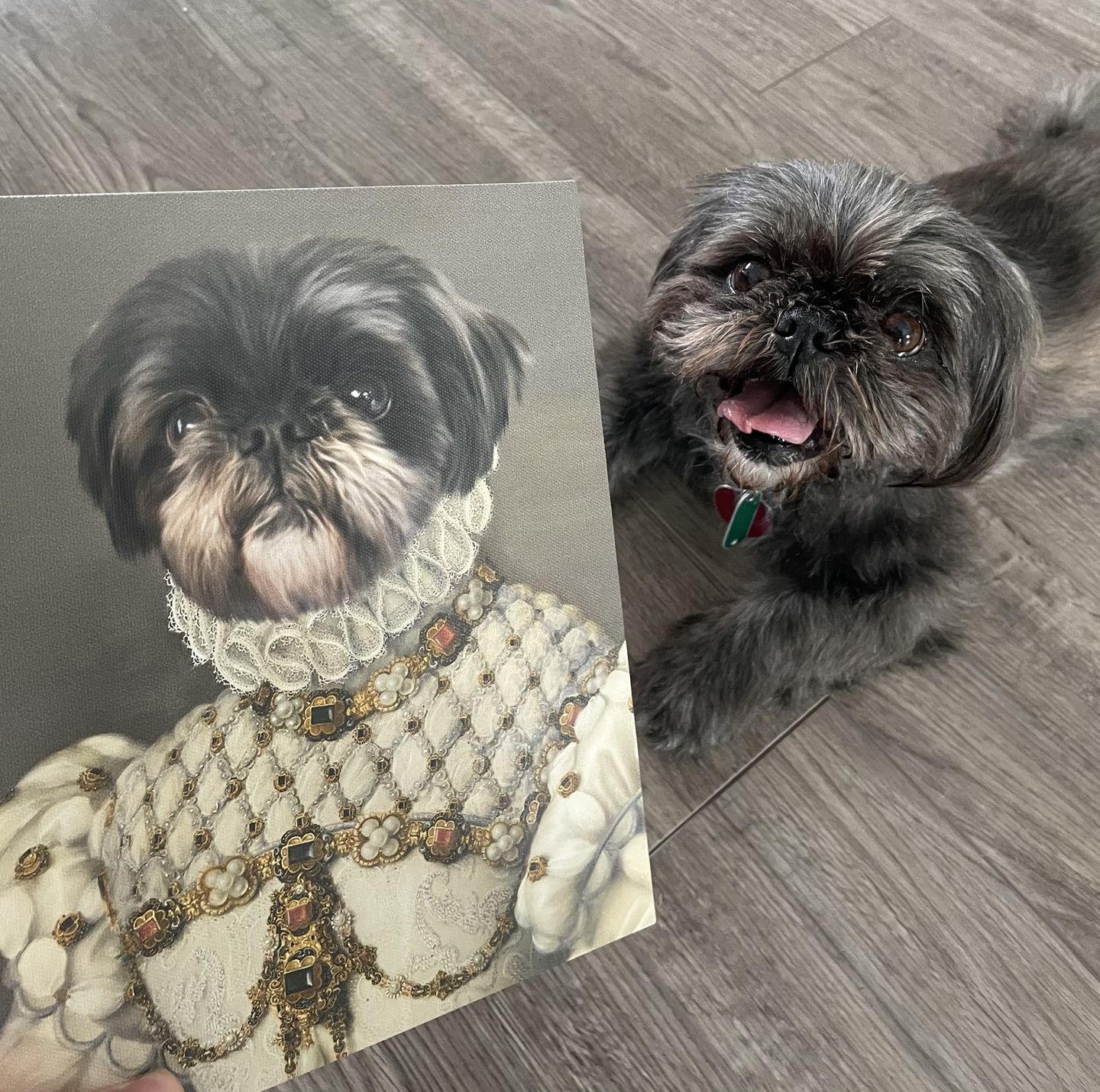 The Princess - Custom Pet Canvas