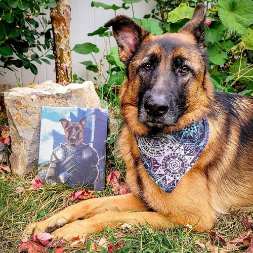 Crown and Paw - Canvas The Kingmaker - Custom Pet Canvas