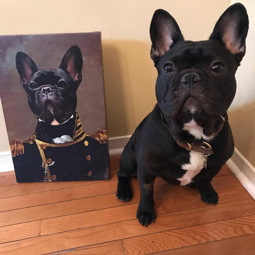 Crown and Paw - Custom Crown & Paw Portrait - One Pet
