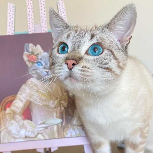 Crown and Paw - Custom Crown & Paw Portrait - One Pet