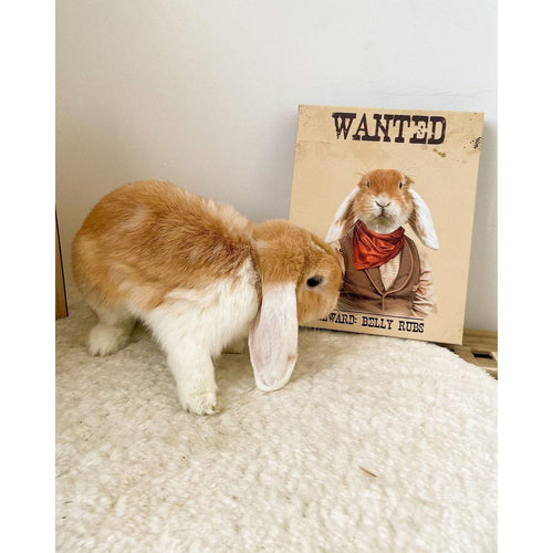 Crown and Paw - Canvas The Wanted - Custom Pet Canvas