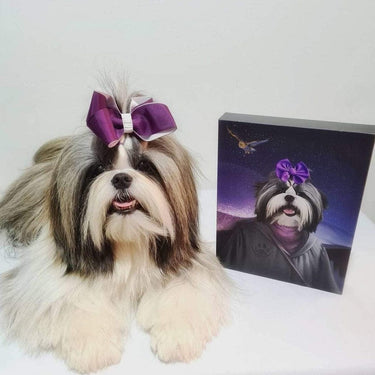 The Wizard - Custom Pet Canvas