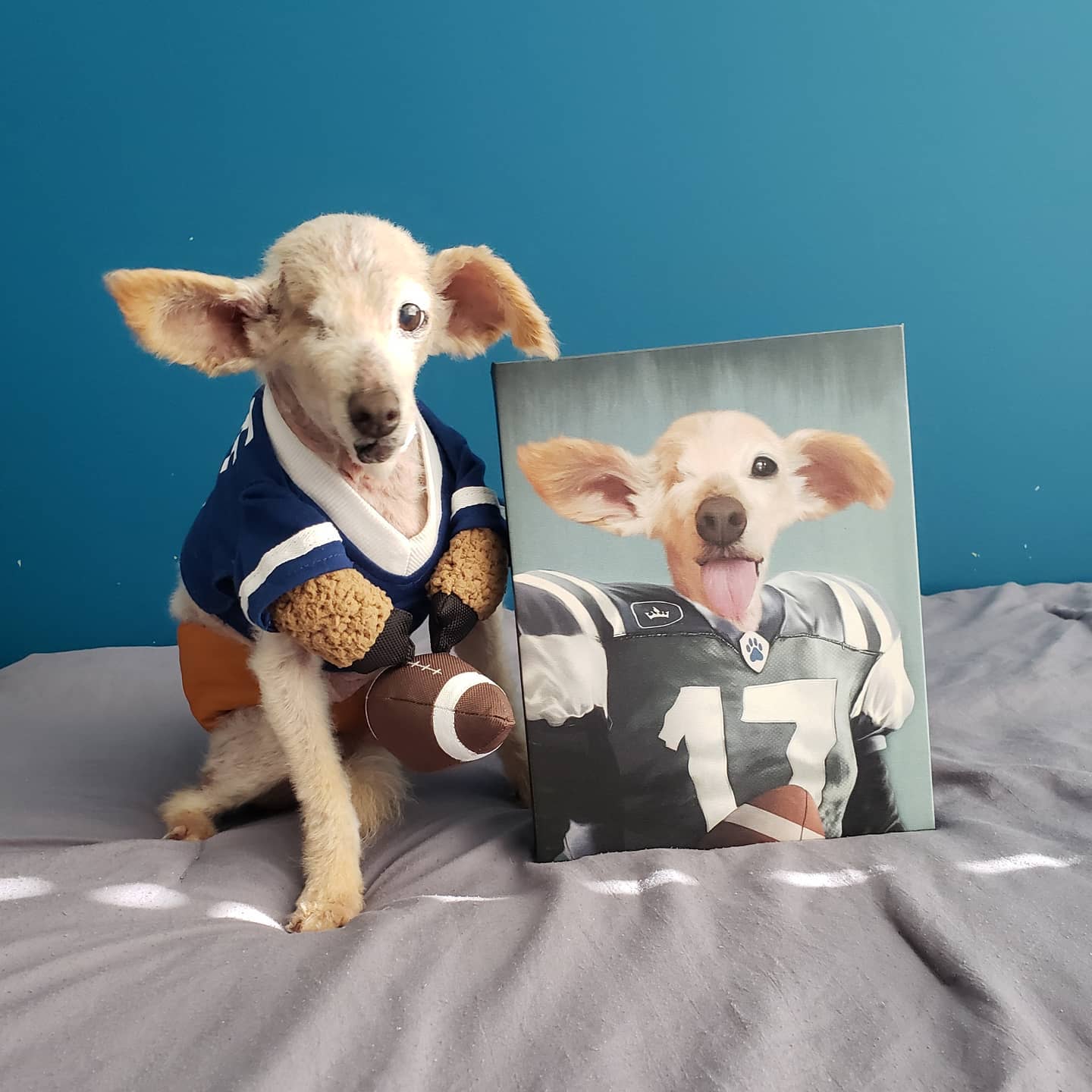 Crown and Paw - Canvas The Football Player - Custom Pet Canvas