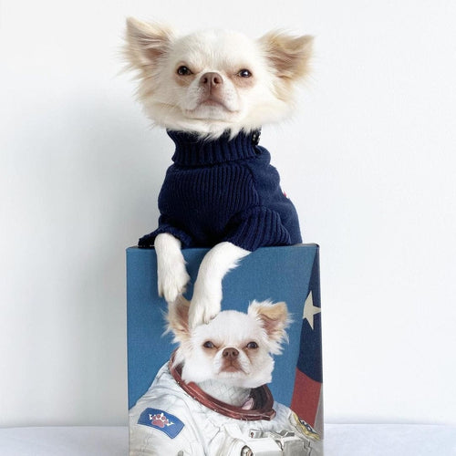 Crown and Paw - Canvas The Astronaut - Custom Pet Canvas