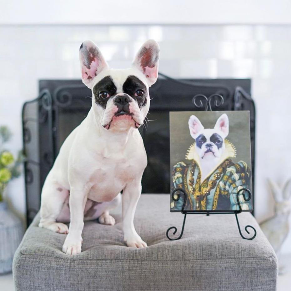 Crown and Paw - Canvas The Sapphire Queen - Custom Pet Canvas