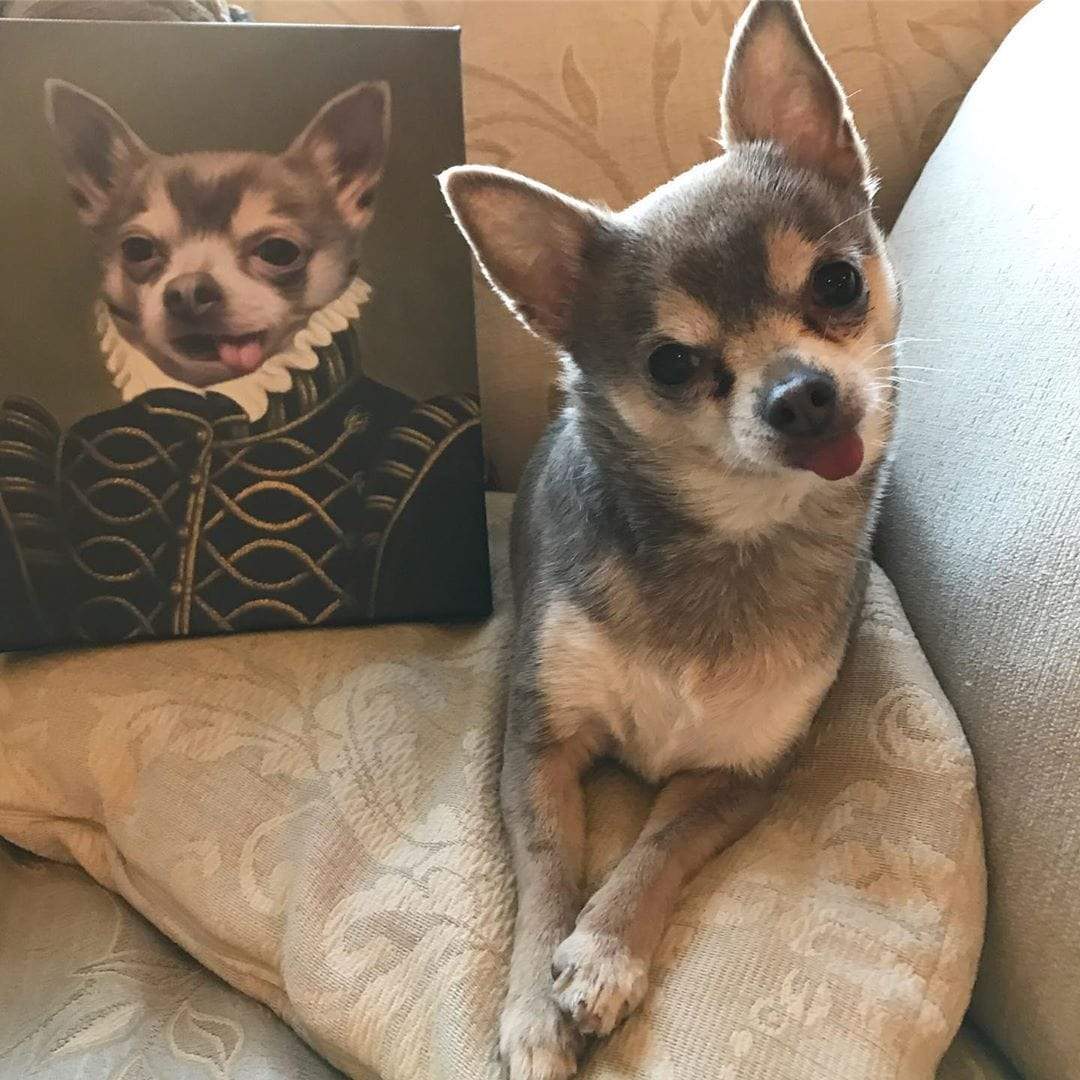 Crown and Paw - Canvas The Noble - Custom Pet Canvas