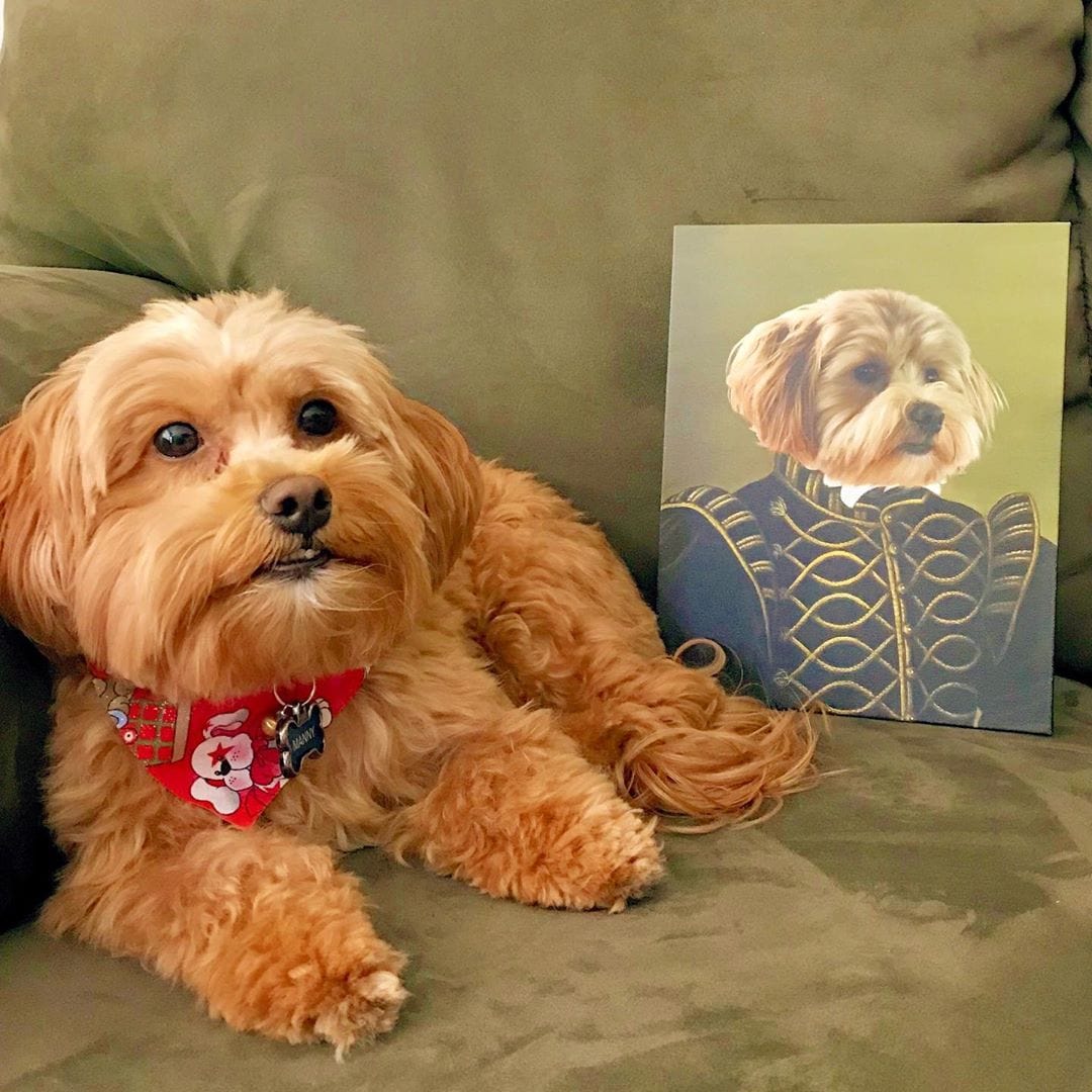 Crown and Paw - Canvas The Noble - Custom Pet Canvas