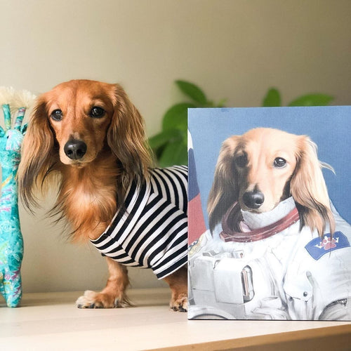 Crown and Paw - Canvas The Astronaut - Custom Pet Canvas
