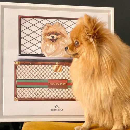 Crown and Paw - Boujee Luxury Trunk Pet Portrait