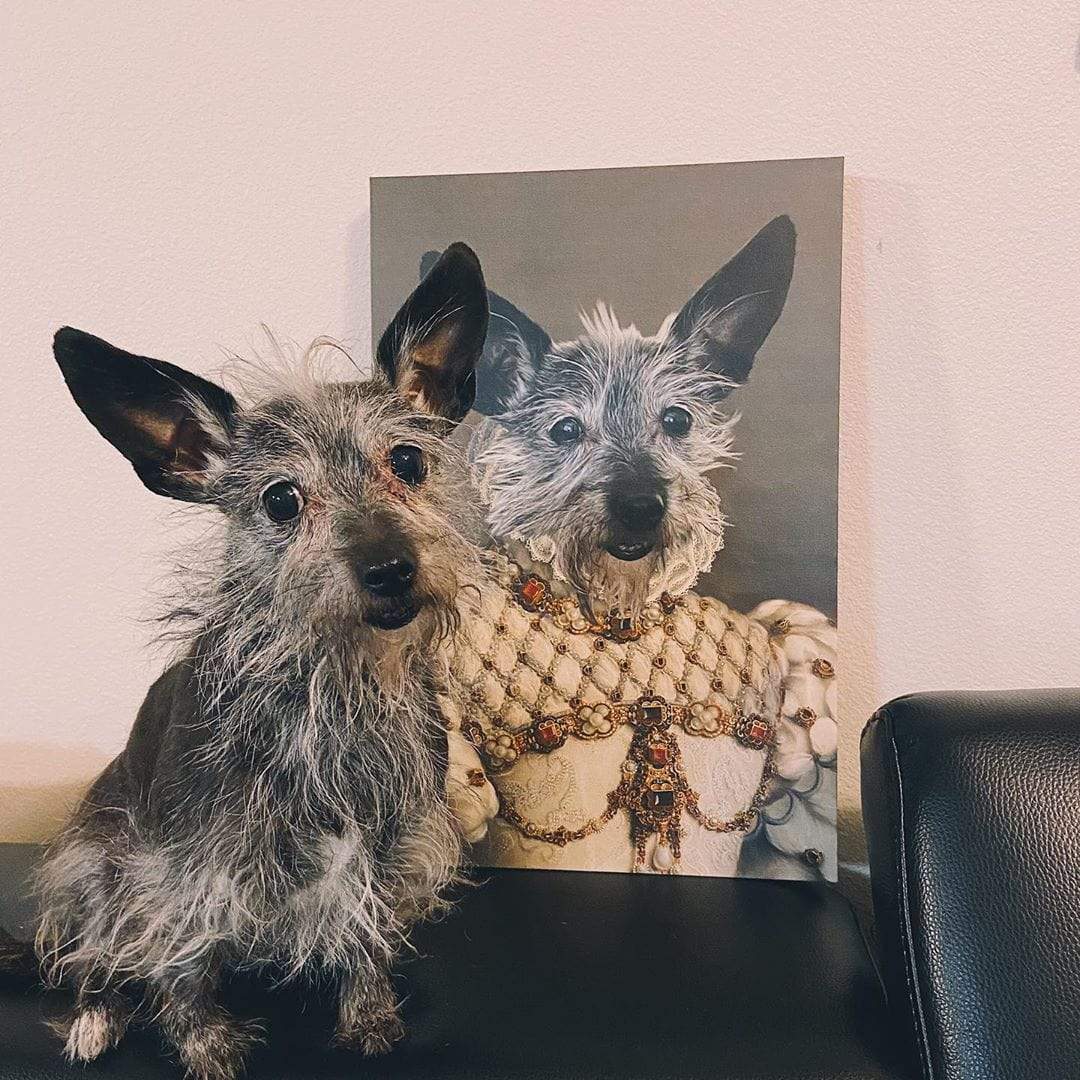 Crown and Paw - Canvas The Princess - Custom Pet Canvas