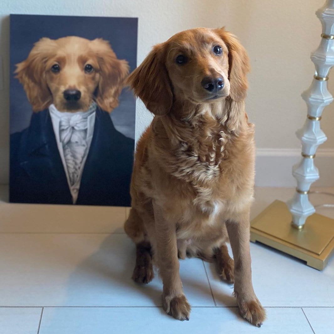 Crown and Paw - Canvas The Aristocrat - Custom Pet Canvas