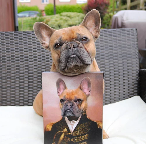 Create a Stunning Custom Pet Portrait on Canvas