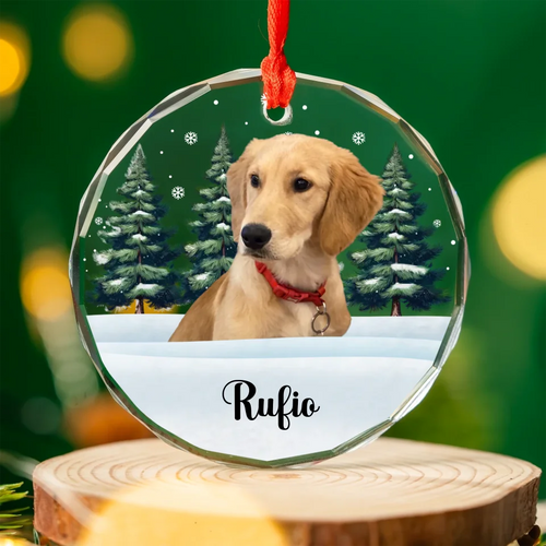 Personalized Snow Scene Ornament With Pet Photo