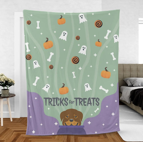 Fleece Blanket Mockup 4