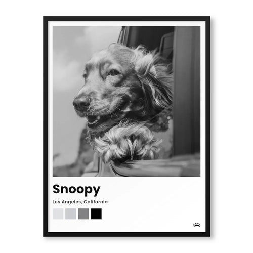 Custom Polaroid Style Pet Portrait