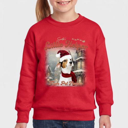 Children's Custom Vintage Christmas Pet Sweatshirt personalized with your pet's photo, design example 13