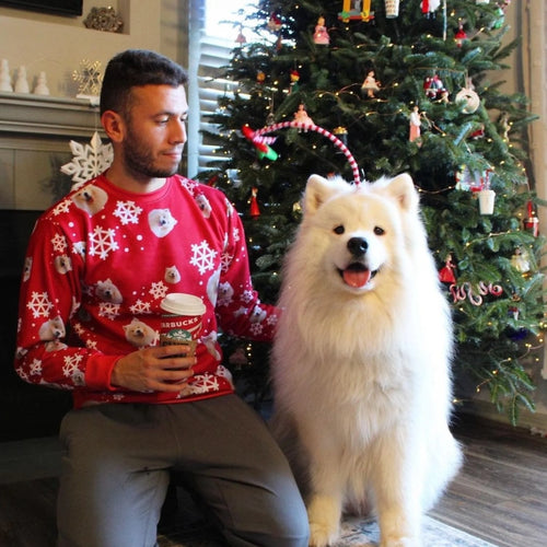 Real customer photo: man in a red pet face pattern Christmas sweatshirt with his Samoyed