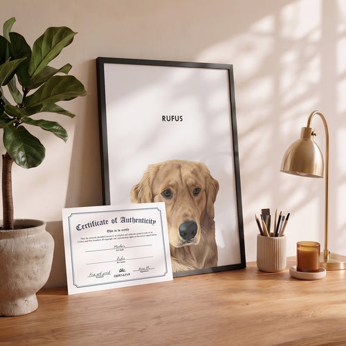 Certificate of Authenticity