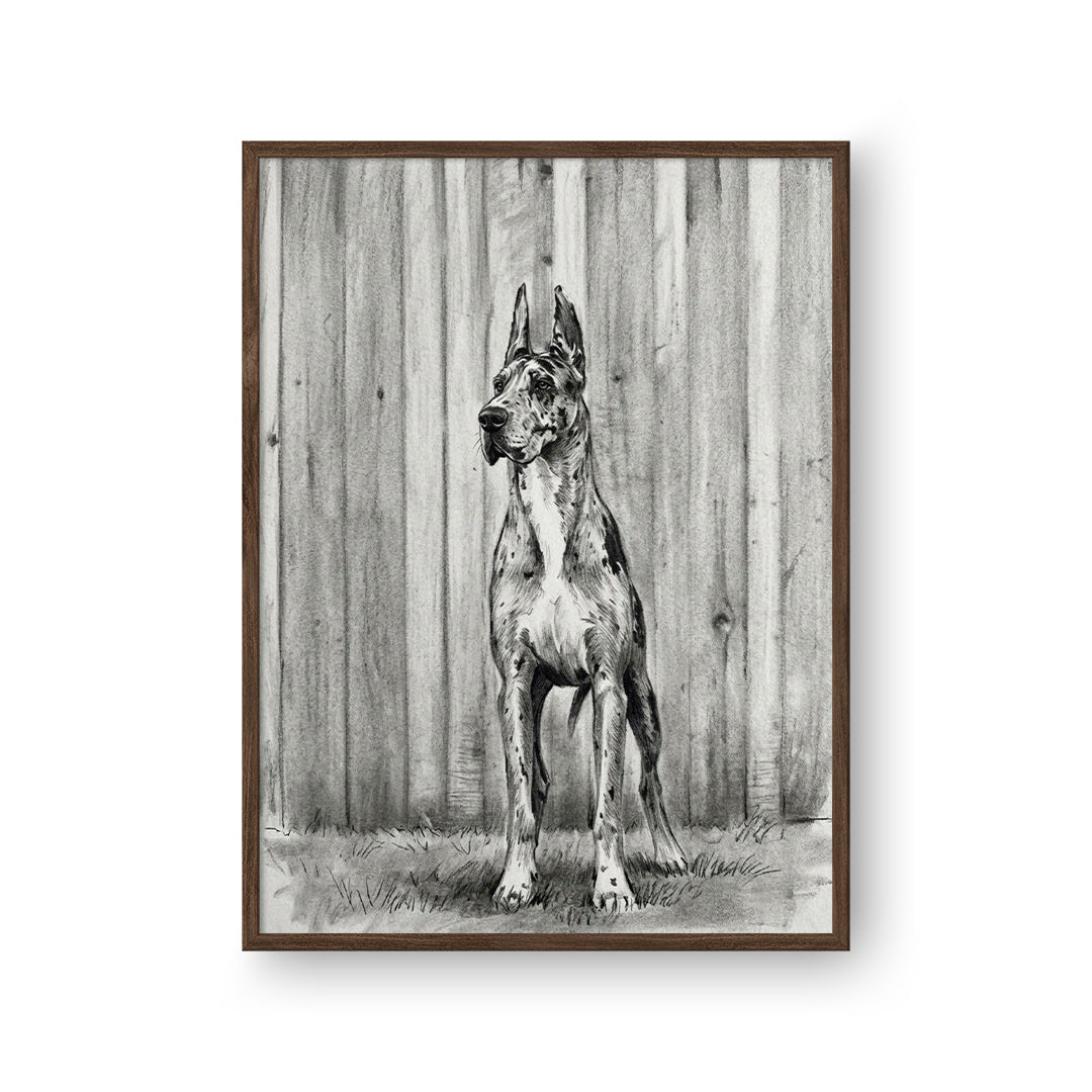 Charcoal Pet Portrait