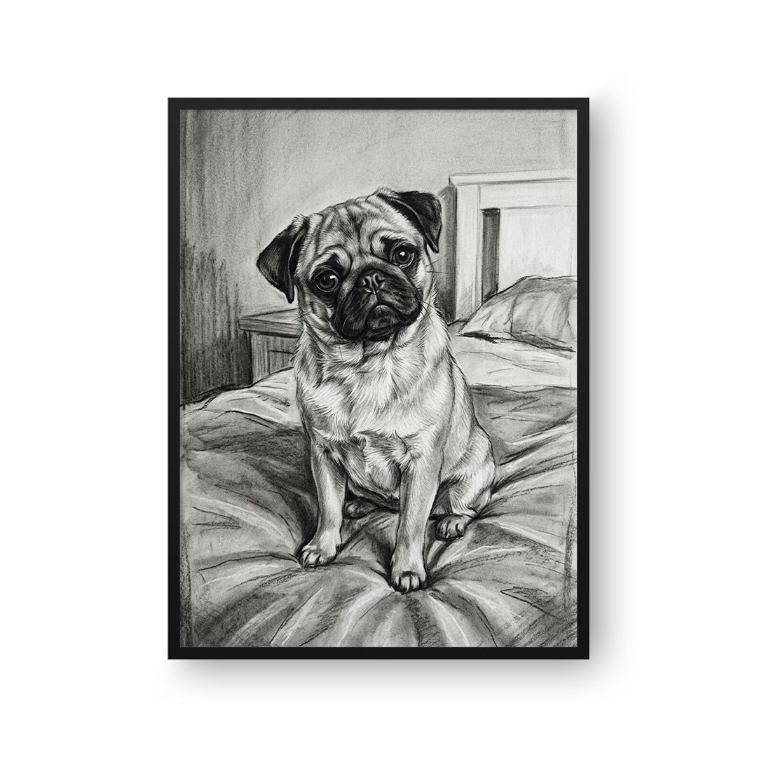 Charcoal Pet Portrait