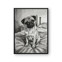 Charcoal Pet Portrait
