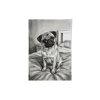Charcoal Pet Portrait