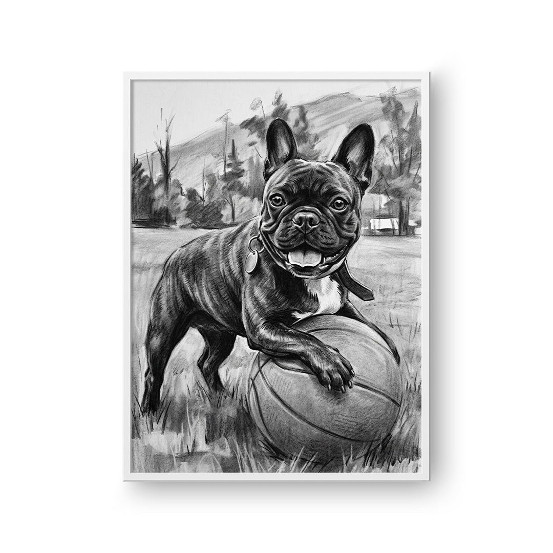Charcoal Pet Portrait