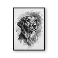 Charcoal Pet Portrait