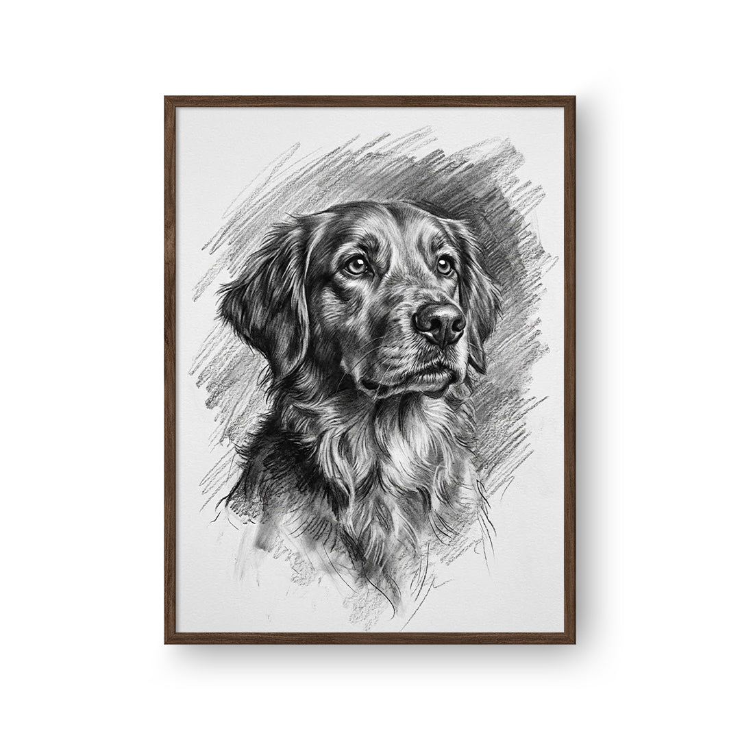 Charcoal Pet Portrait