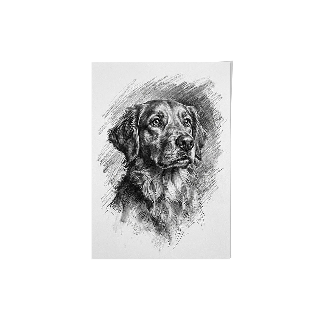 Charcoal Pet Portrait