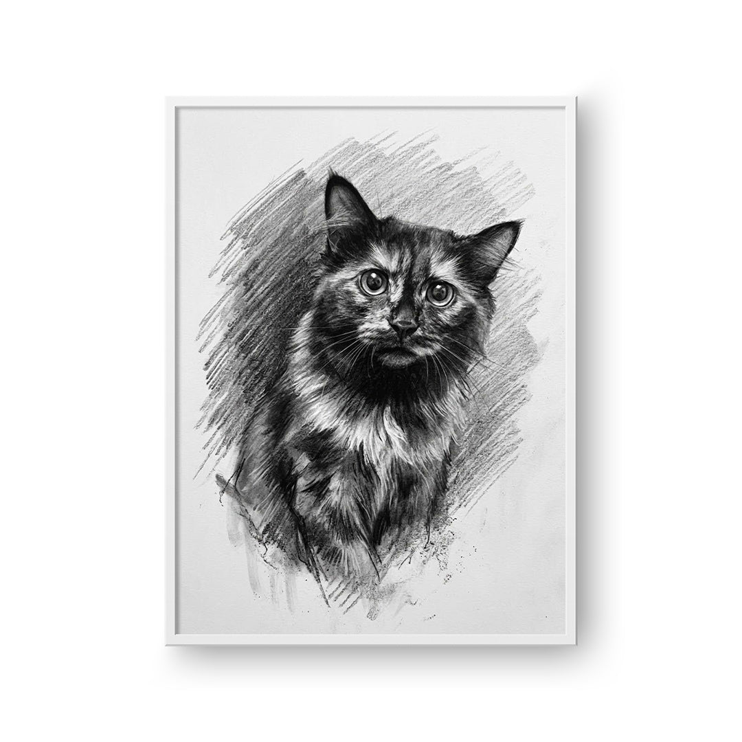 Charcoal Pet Portrait