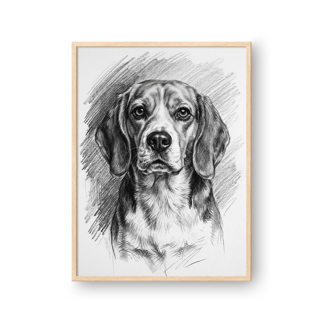 Charcoal Pet Portrait