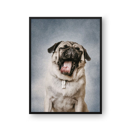 College Yearbook Style Pet Portrait