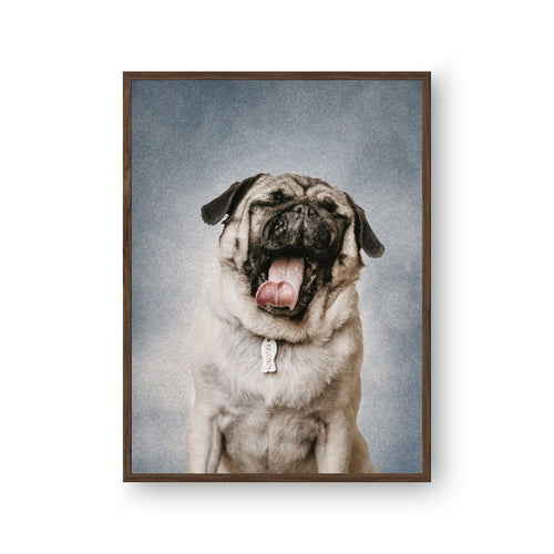 College Yearbook Style Pet Portrait